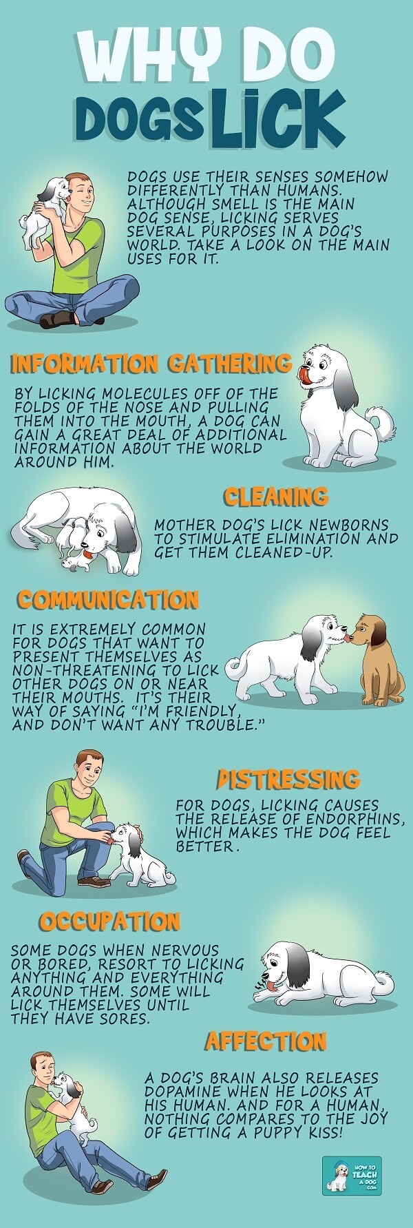 Why do dogs lick - infographic