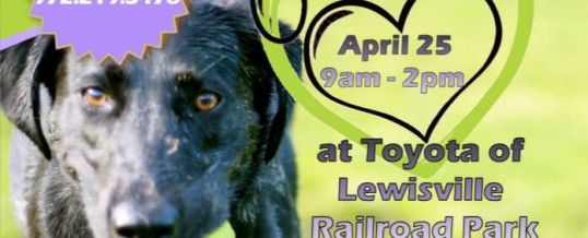 Paws in the park – Railroad Park Lewisville